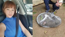 （圖／翻攝自畫面、劉芯彤臉書）