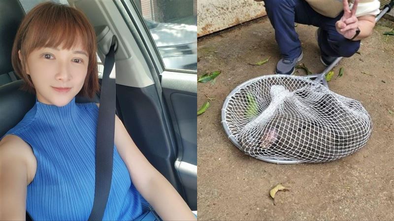 狒狒成了人類的犧牲品…主播嘆如韓劇的牠