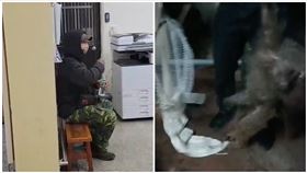 東非狒狒,狒狒,獵人,開槍（圖／翻攝畫面）