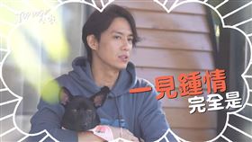 （圖／翻攝自YouTube／TOP DOG回家）