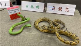 疾管署統計，抗龜殼花及赤尾鮐蛇毒血清約使用最多。（圖／記者簡浩正攝影）