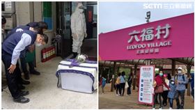 桃園,狒狒,平鎮,獵人,六福村