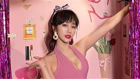 （圖／翻攝自林佩瑤臉書）