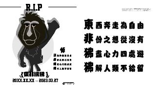 民眾關心狒狒如三溫暖　各界發文悼念