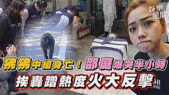 影／邵庭爆哭哀悼狒狒　挨轟用妥瑞症賣慘