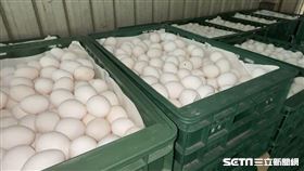 雞蛋（翻攝畫面）