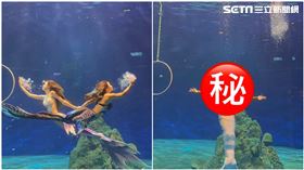 遠雄海洋公園,男人魚,人魚王子瑋瑋,記者劉沛妘攝影