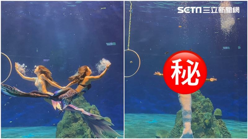 全台唯一！遠雄海洋公園「驚見男人魚」