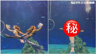 全台唯一！遠雄海洋公園「驚見男人魚」