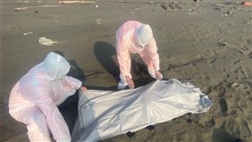  離奇，台中到高雄，外海，陸續發現7具浮屍，男女，疑遭人蛇集團海上丟包(圖／翻攝畫面)