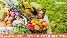 名家專用／春天養生怎麼做？網友熱議6種養生方法與對應食物，補充對的食品有助身體健康。（勿用）
