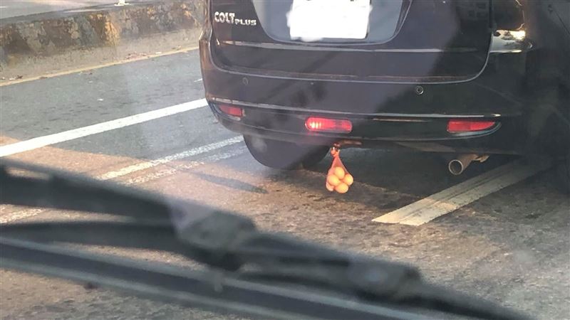 休旅車「車尾掛7顆蛋」！內行揭神秘真相