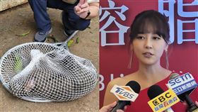 東非狒狒槍下枉死，女星嚴立婷狂嘆「執法過當」。（圖／記者游定剛拍攝）