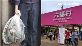 狒狒確定來自六福村！網揪死亡真相爆料：六福村早派獵人直接射殺。（合成圖／翻攝畫面／資料照）