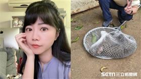 隔18天才認「狒狒是我們的」！高嘉瑜轟殺狒滅口：六福村是動物墳場 圖/資料照