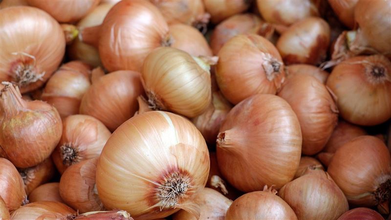 黃皮、白皮差在哪？切洋蔥不流淚5招出爐