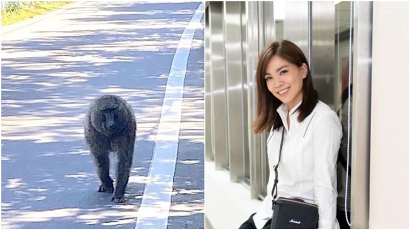 嘆狒狒冤死！美女議員口誤「兩字」遭圍剿