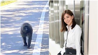 嘆狒狒冤死！美女議員口誤「兩字」遭圍剿