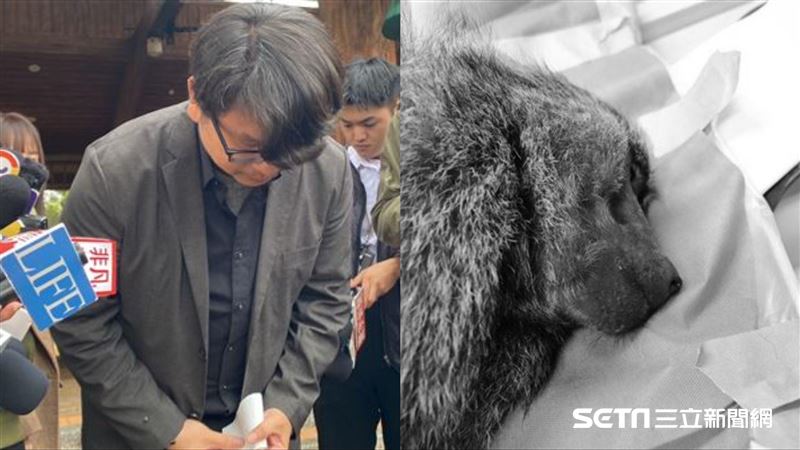 揭六福村黑歷史！時力：10年死8隻長頸鹿