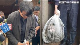 六福村挨轟,狒狒。（圖／記者羅欣怡攝影／翻攝畫面）