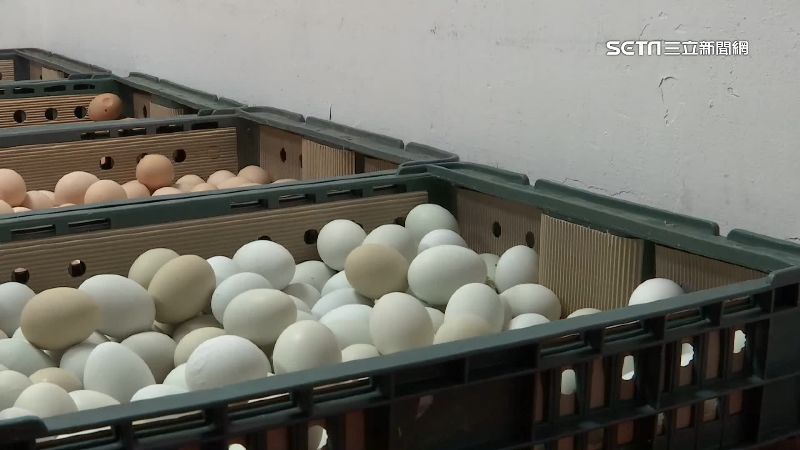 「進口蛋倒貼送豬農」？農委會：不實報導