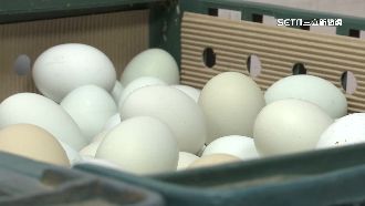 超商雞蛋10顆68元　民眾賤賣「一顆3元」