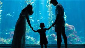 屏東海生館打造最潮「兒童海洋節」  潮海之際驚奇四起（業配勿用）