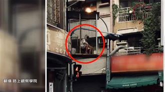 獨／街邊籠中阿伯掀熱議！背後故事有洋蔥