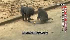 ~誰管狒漏洞1900