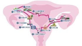 百人相挺騎行「台北子宮地圖」籲打破歧視。（圖／台灣拜耳提供）