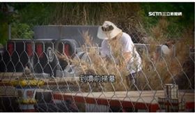 ▲清明節掃墓。（圖／三立新聞網）