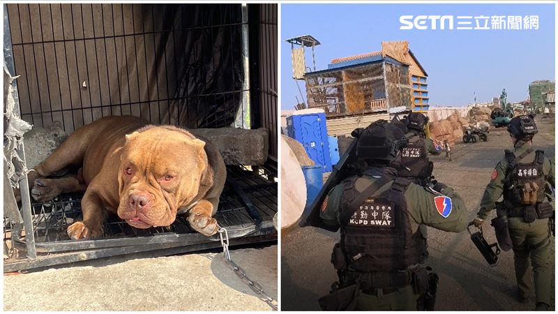 惡霸養「惡霸犬」護主　結果警攻堅超軟萌