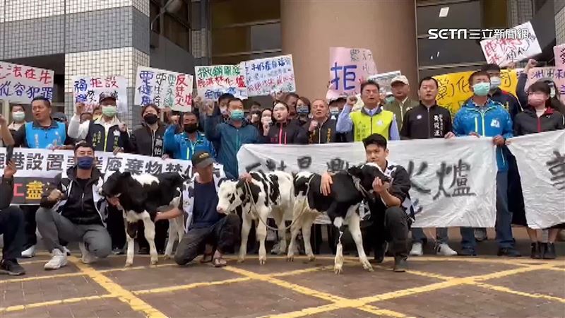 反建彰濱焚化爐　鄉民帶乳牛大喊要生存