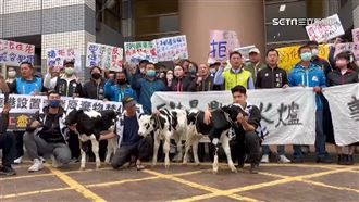 反建彰濱焚化爐　鄉民帶乳牛大喊要生存