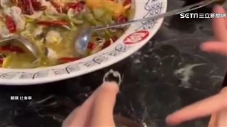 浪漫求婚？女吃酸菜魚驚見戒指　真相傻眼