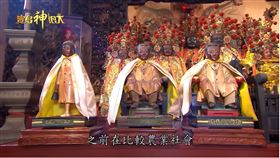 ▲神醫公。（圖／寶島神很大）
