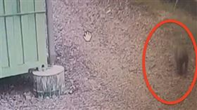 朱健銘,六福村,狒狒（圖／新竹縣議員朱健銘提供）