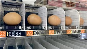 雞蛋自動販賣機（圖／翻攝自「台南式Tainan Style」臉書）