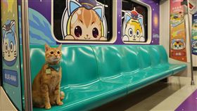 高捷歡慶通車15週年  蜜柑站長現身112年為高捷通車15週年，趁春假及兒童節連續假期，1日在美麗島站舉辦「蜜瑪連線歡樂同萌會主題彩繪列車首航及主題車站活動」，圖為站長蜜柑車廂宣傳照。（高捷公司提供）中央社記者洪學廣傳真  112年4月1日