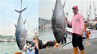 「第一鮪」現身船長樂歪　拍賣日期曝