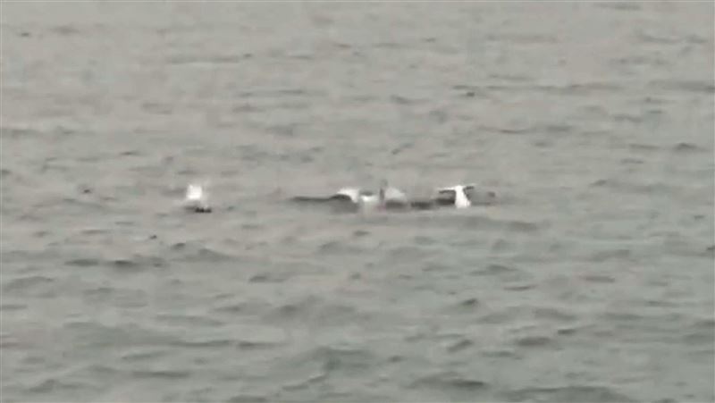 雲林外海白海豚現身　海巡隊執行復育專案