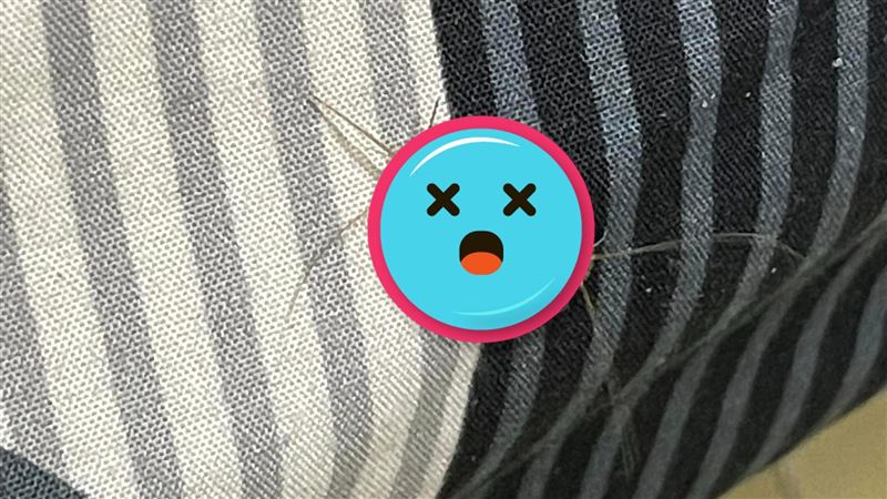 捏爆1怪蟲被警告　屋主心涼：搬走實在