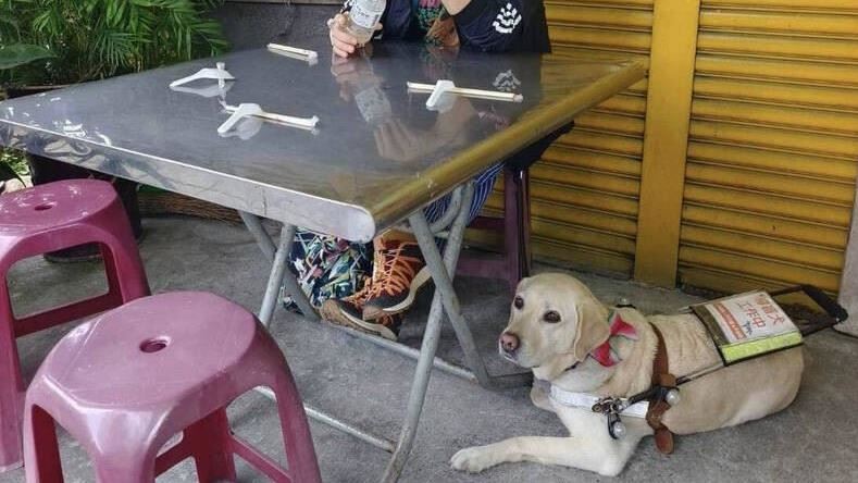 小籠包店「拒導盲犬進入」！視障女坐店外