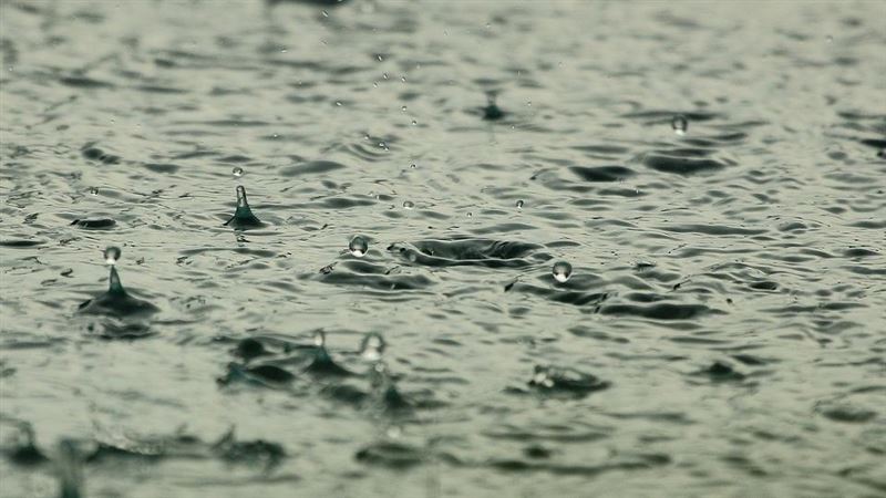 中南部終於下雨　曾文水庫「暫時解渴」