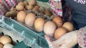 雞蛋（翻攝畫面）