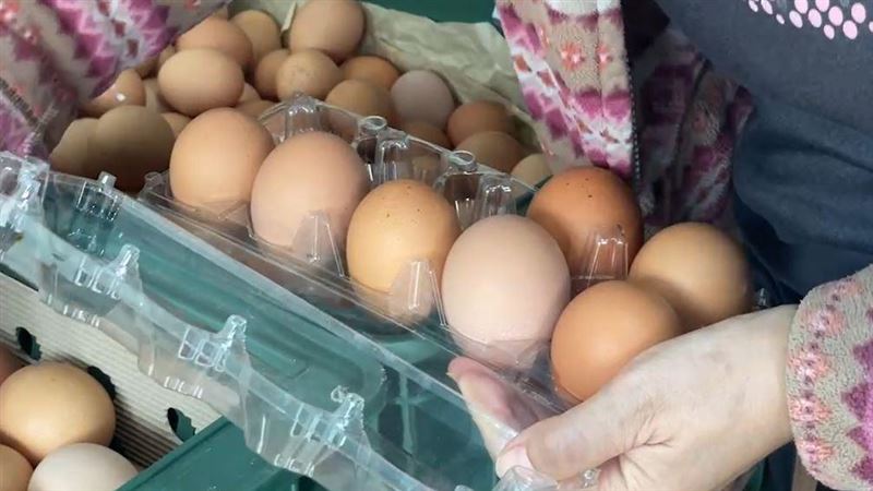 黑市猖獗報價無用　蛋價委員會：價格不變
