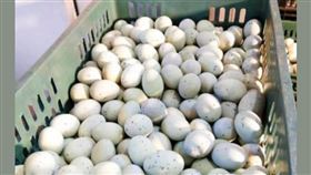 ▲網傳「鐵藍」教師群私下囤蛋囤到發霉長蛆，還要藍營政治人物幫忙送，還附上雞蛋照片。對此連專家都打臉，不合理也不可能。照片還是2018年的新聞報導照片，與缺蛋無關。（圖／翻攝自事實查核中心官網）