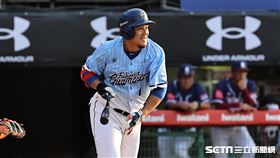 ▲樂天桃猿主場開幕戰，富邦悍將指定打擊蔣智賢。（圖／記者劉彥池攝影）