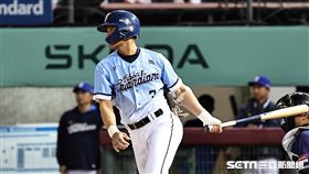 ▲樂天桃猿主場開幕戰，富邦悍將游擊手王勝偉。（圖／記者劉彥池攝影）