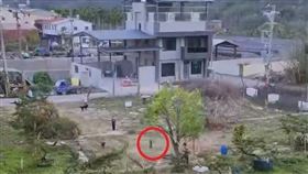 南投赤膊男趕貓下樹，放任狗群追咬。石虎。（圖／翻攝臉書爆料公社）